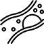 Lipid Profile
